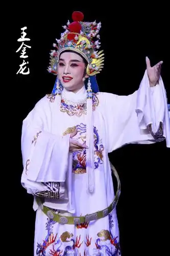 莲之恋(熊莲芬的戏曲人生)