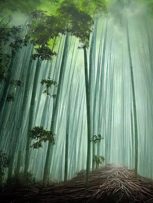 竹林清风解落三秋月能开二月花