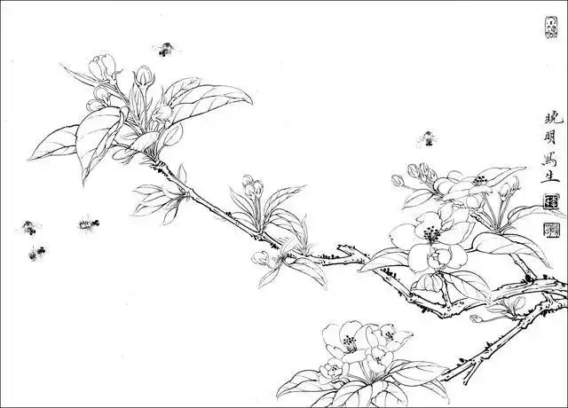 可以直接临摹学习的,工笔白描作品欣赏