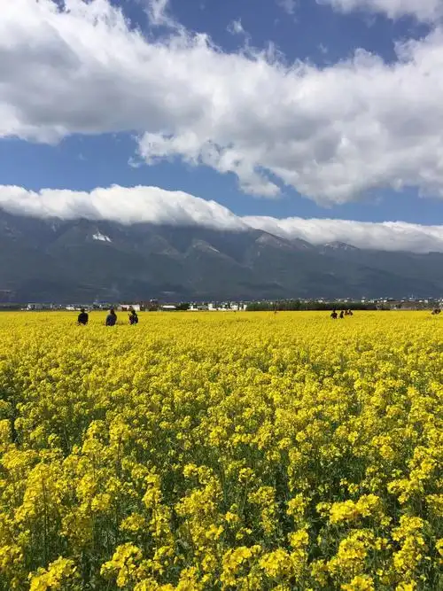 大美云南一一梦幻般的大理彩云(五)
