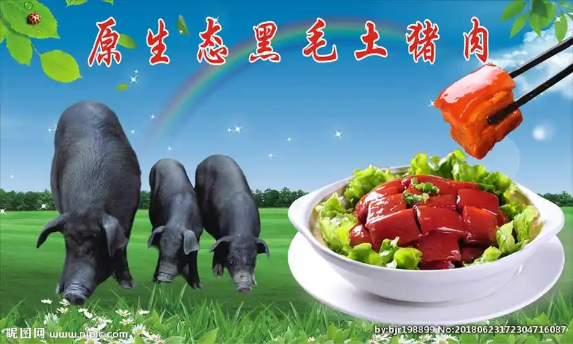黑毛土猪海报图片