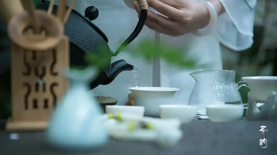 其它 茶韵——遇见一片神奇的东方树叶 写美篇从烧