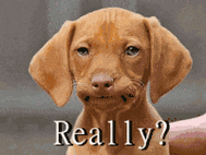 200_150gif 动态图 动图