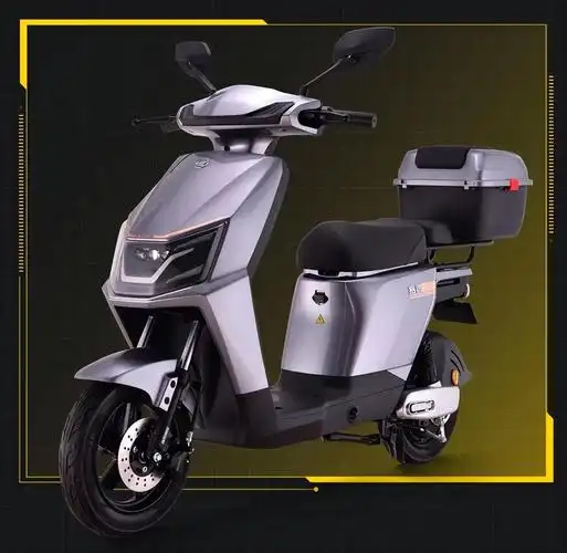 新蕾电动车价格及图片(新蕾电动车官网查车型)