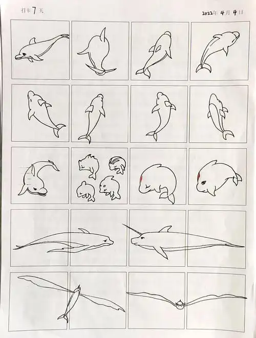 简笔画760大鱼海棠