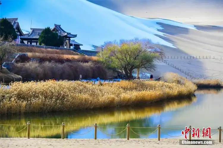 我的中尉先生无删减樱花动漫