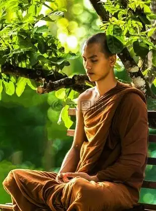 冥想,打坐的和尚,小乘佛教