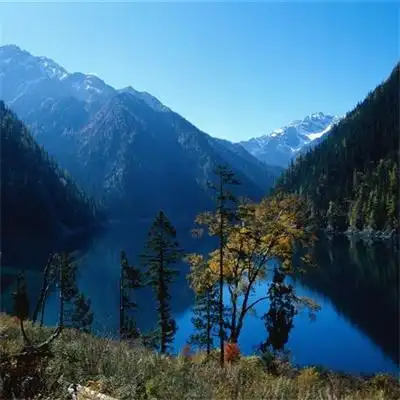 特别好看也很真实的风景头像