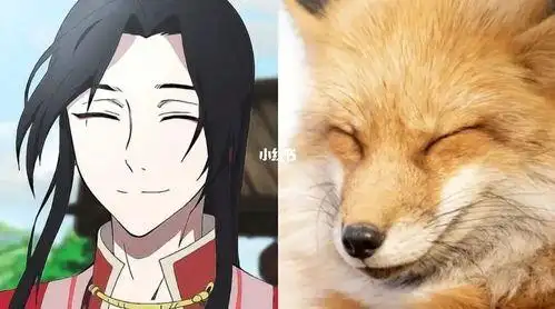 花城是狐狸是什么梗