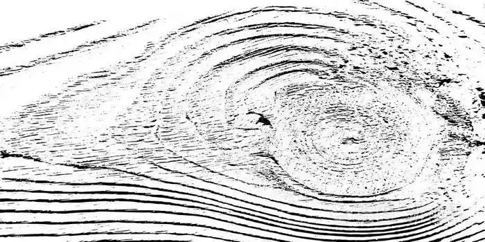 困难的木板覆盖纹理向量例证木纹背景