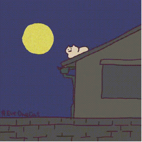 eveonecat猫猫表情包