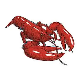 手绘小龙虾元素