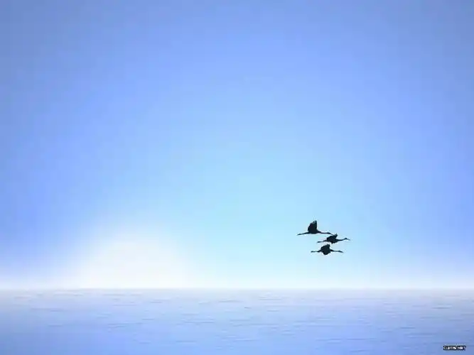 精美ppt模板 ppt背景图片大全 ppt背景图片 华为ppt素材库