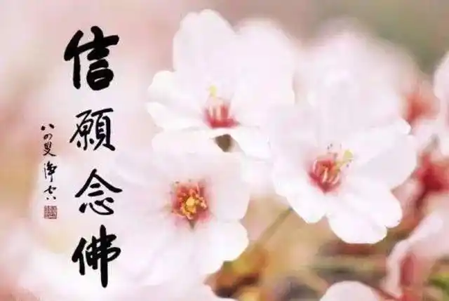 《阿弥陀经》中提到"一心不乱",是否念佛念到一心不乱才能往生