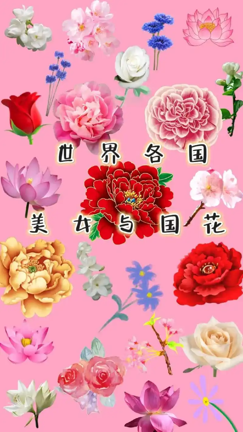 世界各国美女与国花