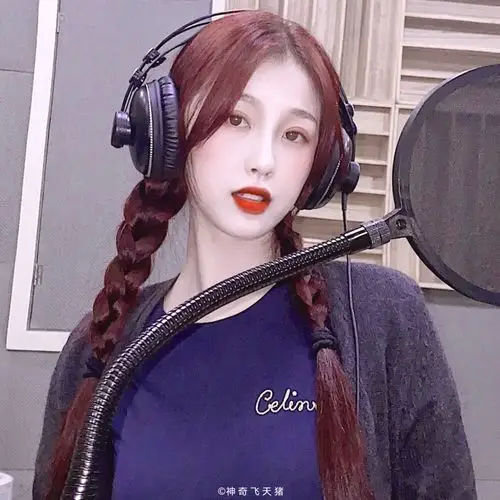 虞书欣头像08神奇飞天猪