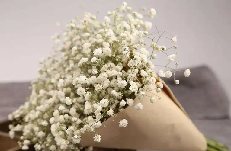 满天星图片高清图片(满天星图片高清图片真实夜景)