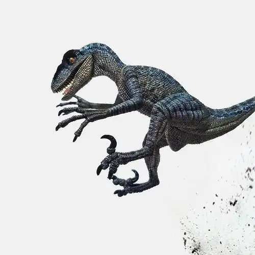 恐龙素材-花瓣网|陪你做生活的设计师 | rebor迅猛龙