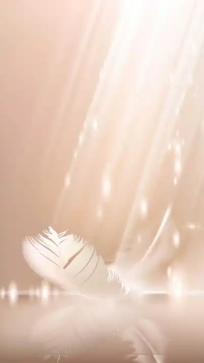 边框,手帐,背景图,抠图