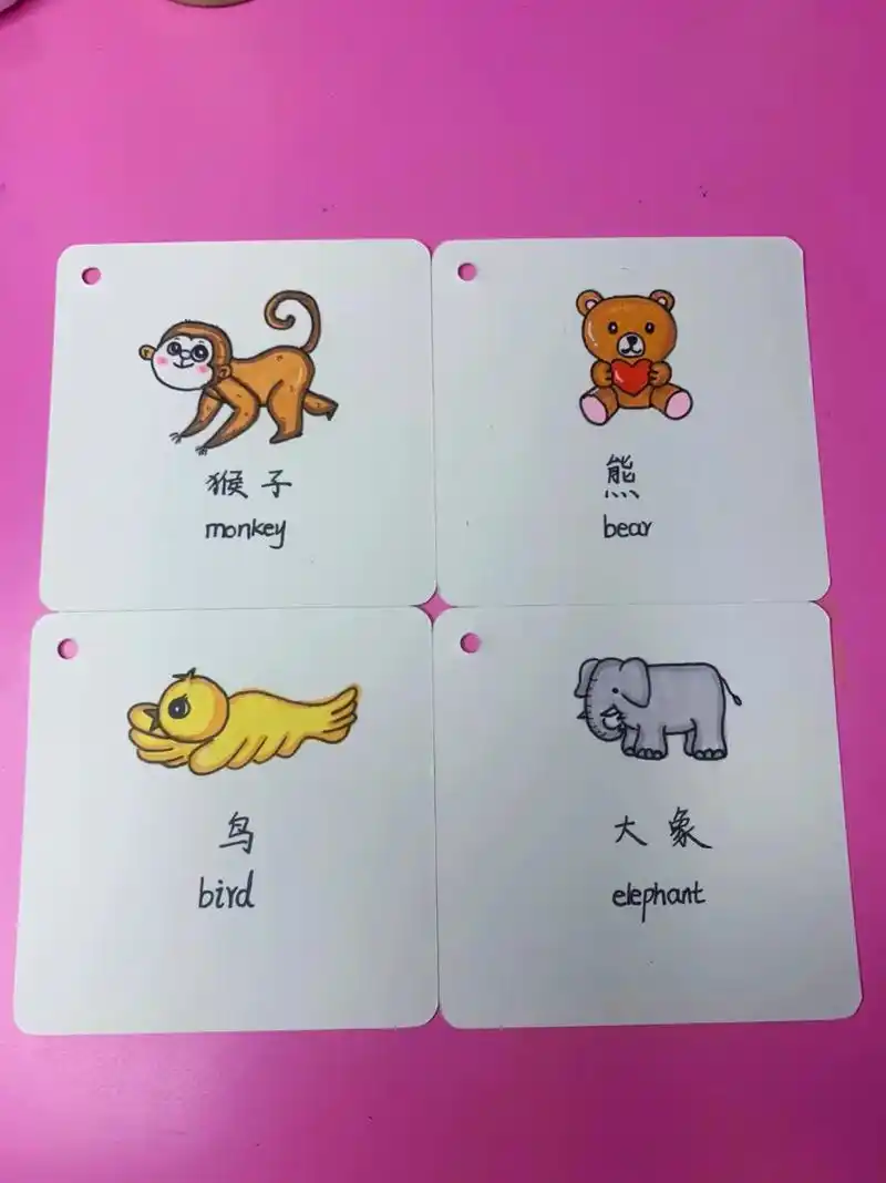 自制英语单词卡片 - 抖音