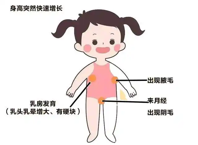 女孩初潮最好是这个年龄过早过晚都不是好事