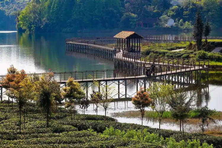 云兜风名山清漪湖翠柳依依茶幽香
