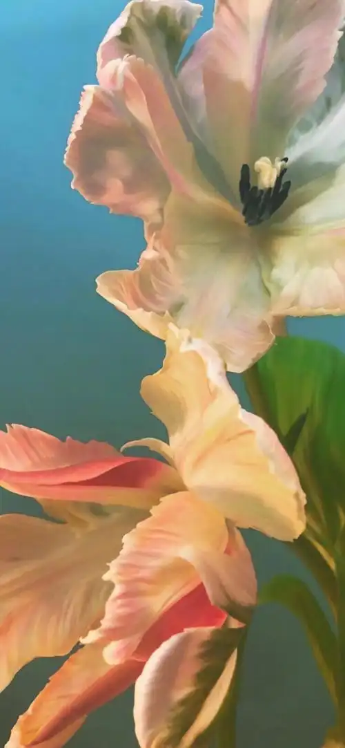 iphone11pro max - 堆糖,美图壁纸兴趣社区