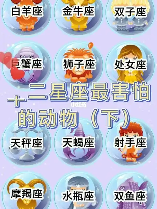 十二星座最害怕的动物