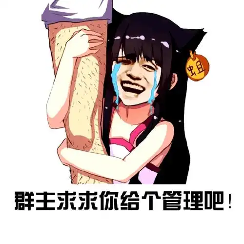 群主求求你给个管理吧美女搞笑gif动图_动态图_表情包下载_soogif