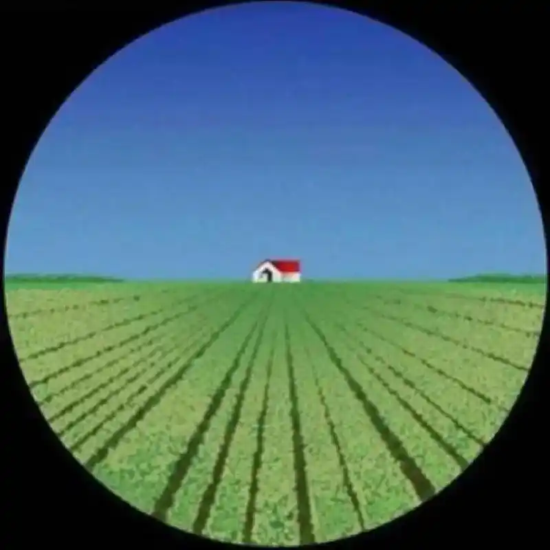 验光时看的红房子跟热气球是干嘛的?