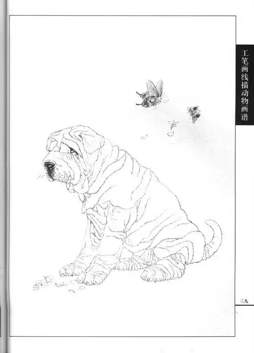 工笔画线描动物画谱之名犬篇