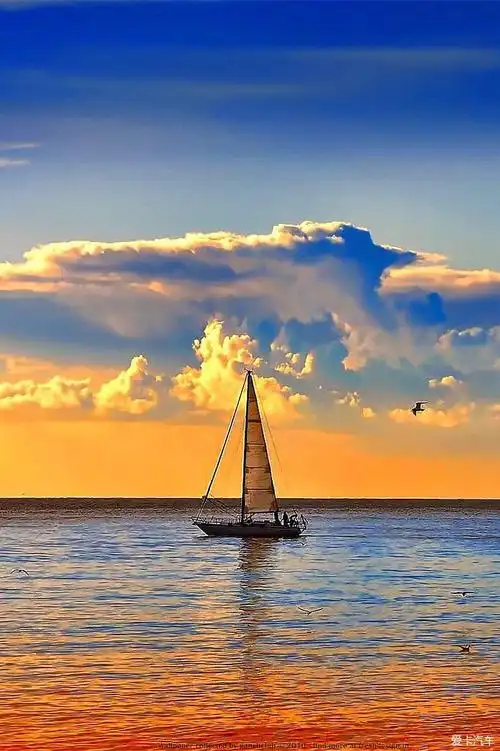 【图】即将扬帆_1_深圳论坛_爱卡汽车