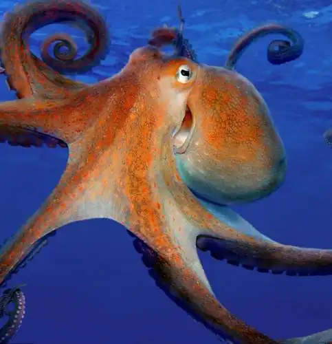 请在章鱼烧,墨鱼丸和轰炸大鱿鱼的陪同下阅读此文