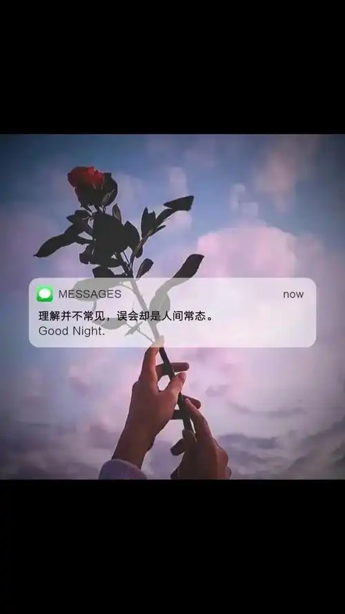 文案朋友圈深夜丧文化