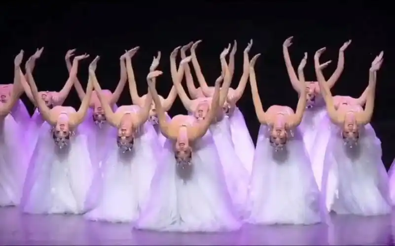 白雪公主一样的美女表演舞蹈,甩恒大歌舞团几条街啊!