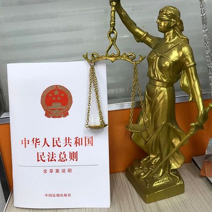 中华人民共和国民法总则(含草案说明)
