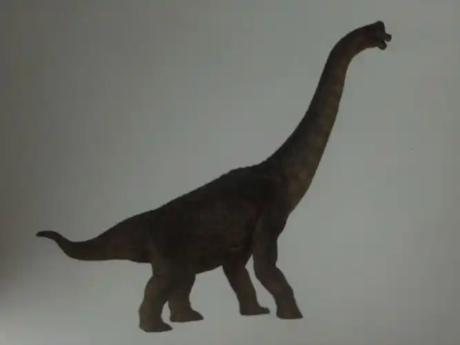 腕龙――它的脖子像手腕一样灵活