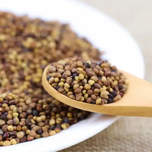 四川野生菟丝子500克包邮可搭淫羊藿韭菜籽枸杞子茶兔丝子粉泡酒