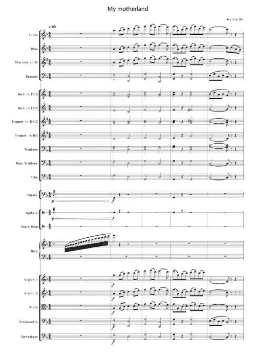 我的祖国弦乐总谱