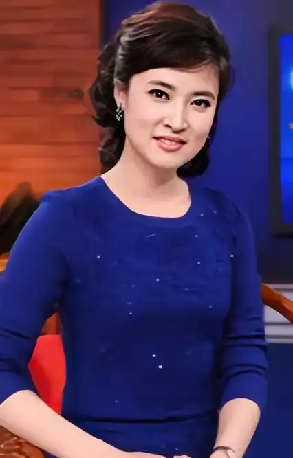 放弃舞蹈梦,意外成就主持事业,《海峡两岸》桑晨的婚姻状况如何_节目