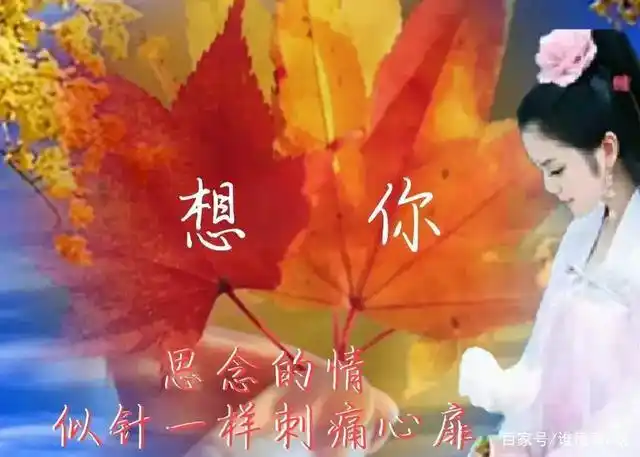想你了,思念中憧憬着美好,期盼着明天与你相依相伴