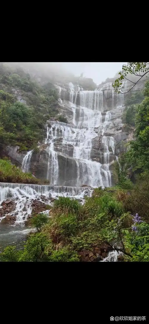花与瀑布,构成了一幅美丽而独特的春日画卷.
