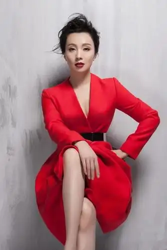 陶虹_演员_作品_个人资料_简历_生日_经历_留言 - 酷乐米