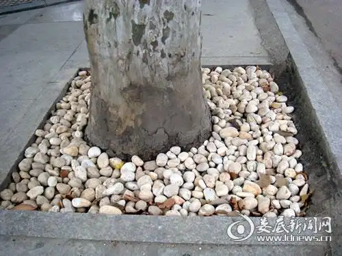 鹅卵石为娄底市区街道添别致景观(图)