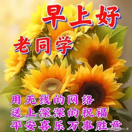 图片带字早安问候语,关怀老同学们群发暖心祝福大全_生命_都会_友谊
