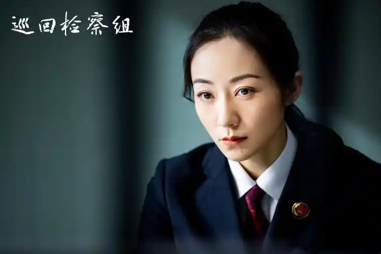 《巡回检察组》:这部剧很好看,但是却有一个败笔(巡回检察组)剧评