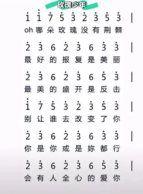 玫瑰少年钢琴谱简单