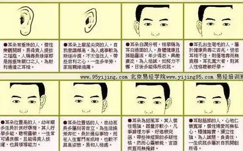面相讲解耳朵看看这些人的耳朵