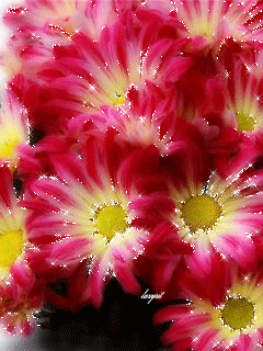 240_320竖版 竖屏gif 动态图 动图