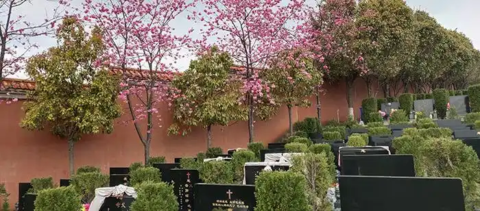 龙凤公墓陵园简介